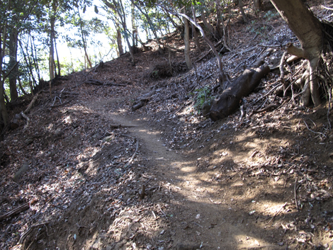 20170126hike (284)